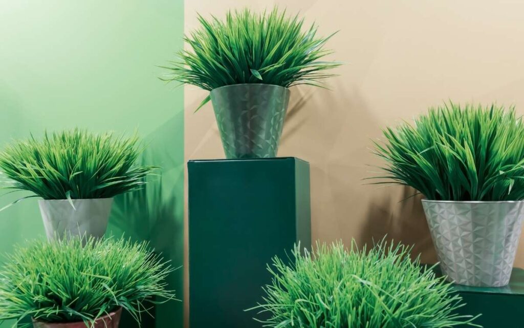 artifical plant 19