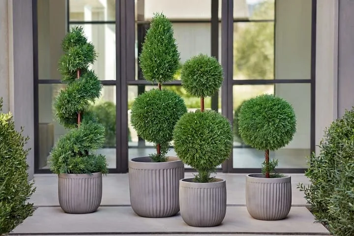 Artificial Plants 13