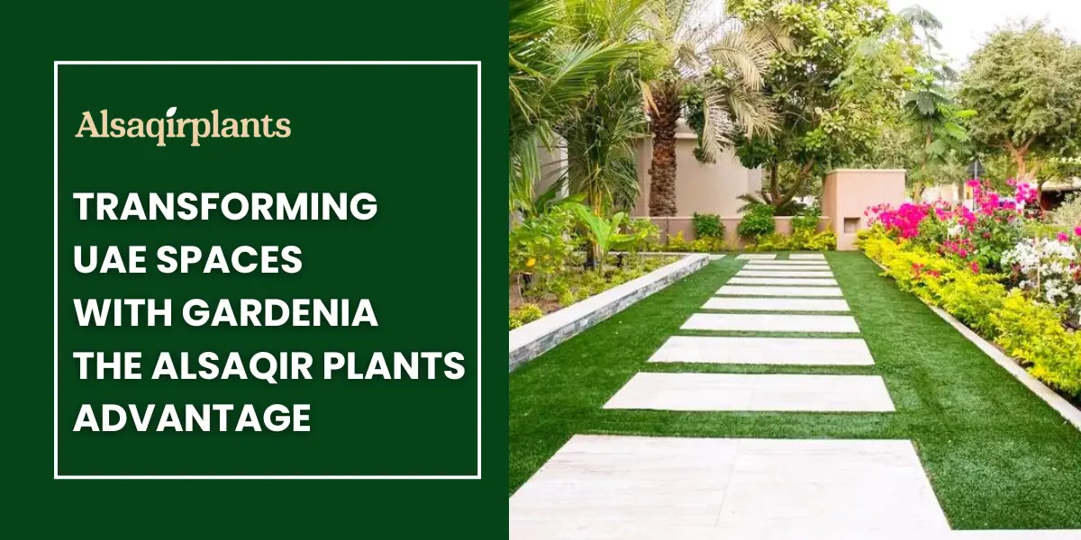 Transforming UAE Spaces with the Garedenia