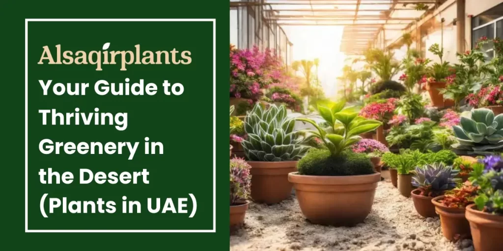 your guide to thriving greenery in the desert plants in Uae