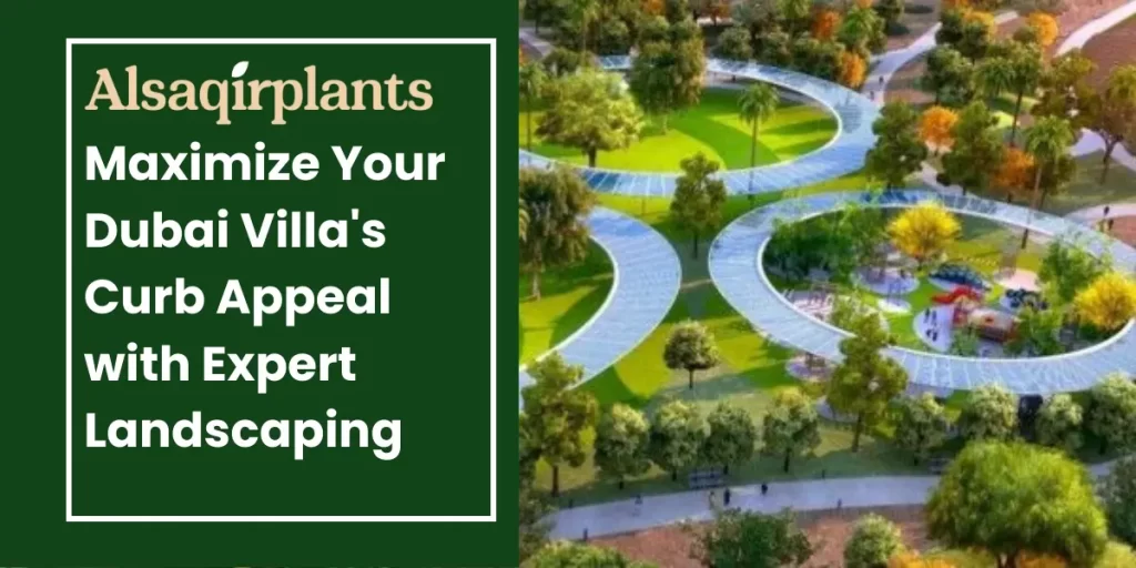 Maximize our dubai villas curb appeal with expert landscapign