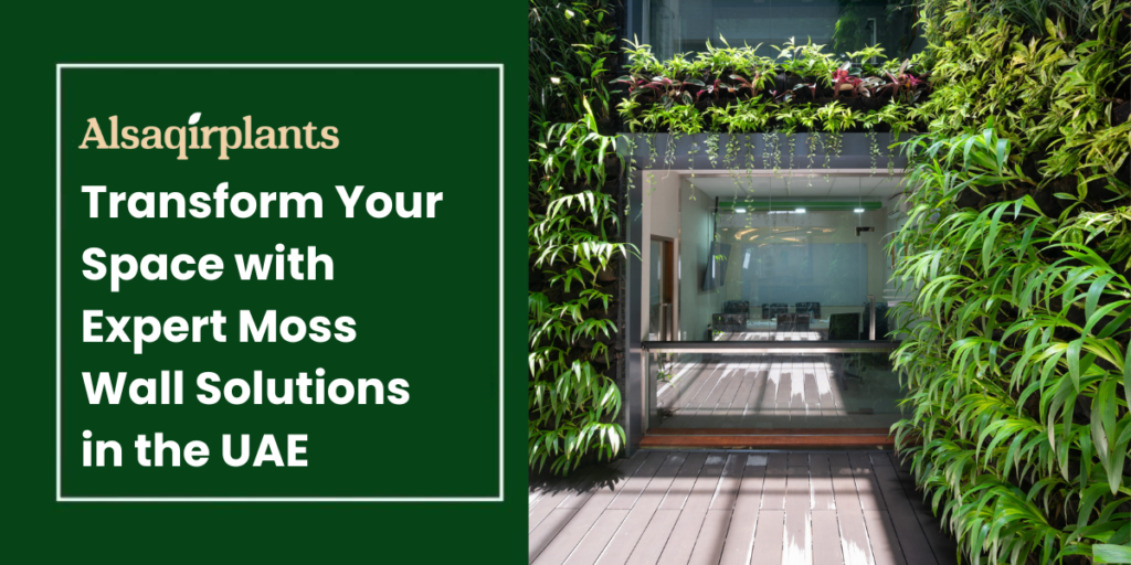 Transform Your Space with Expert Moss Wall Solutions in the UAE
