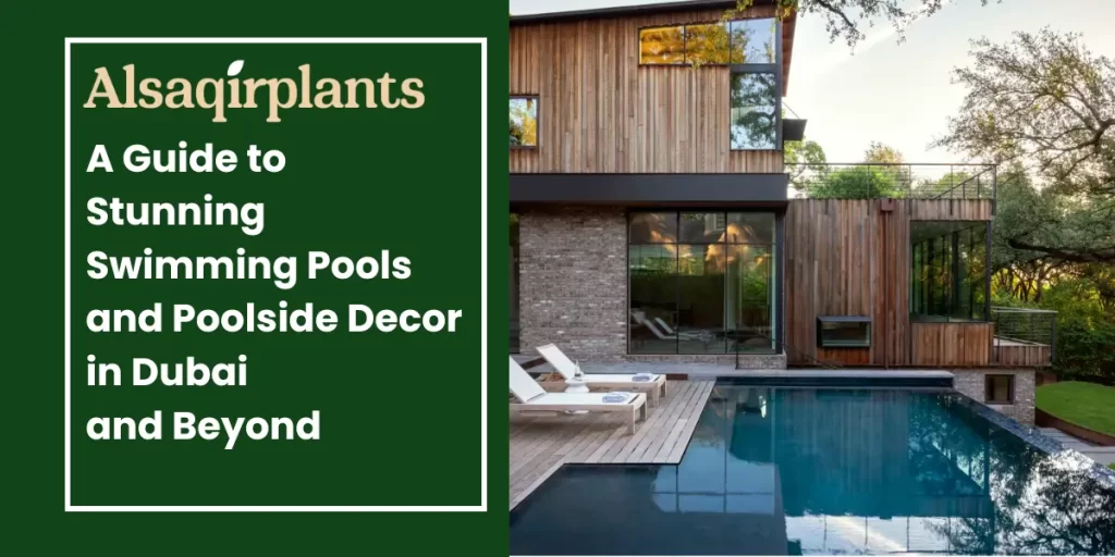 A-Guide-to-Stunning-Swimming-Pools and Poolside Decor in Dubai and Beyond