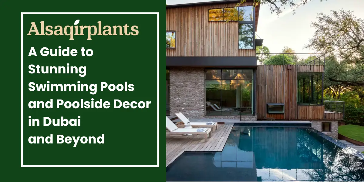 A-Guide-to-Stunning-Swimming-Pools and Poolside Decor in Dubai and Beyond