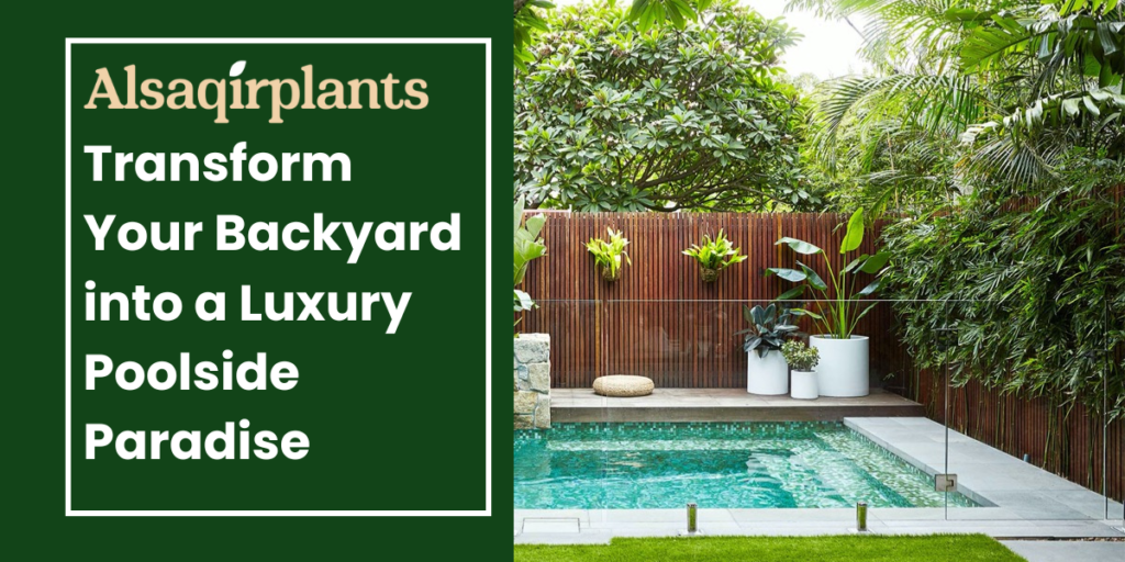 Transform Your Backyard into a Luxury Poolside Paradise