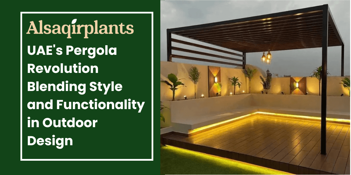 UAE's Pergola Revolution Blending Style and Functionality in Outdoor Design