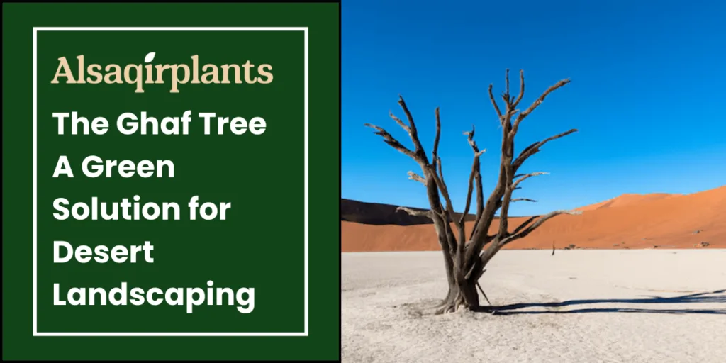 The Ghaf Tree A Green Solution for Desert Landscaping