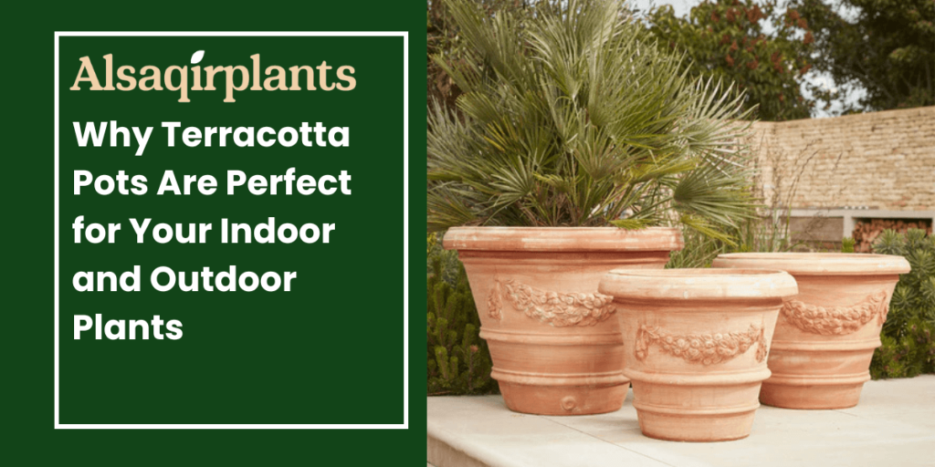why terracotta pots are perfect for your indoor and outdoorplants