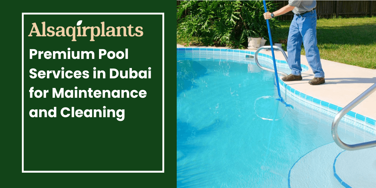 Premium Pool Services in Dubai for Maintenance and Cleaning