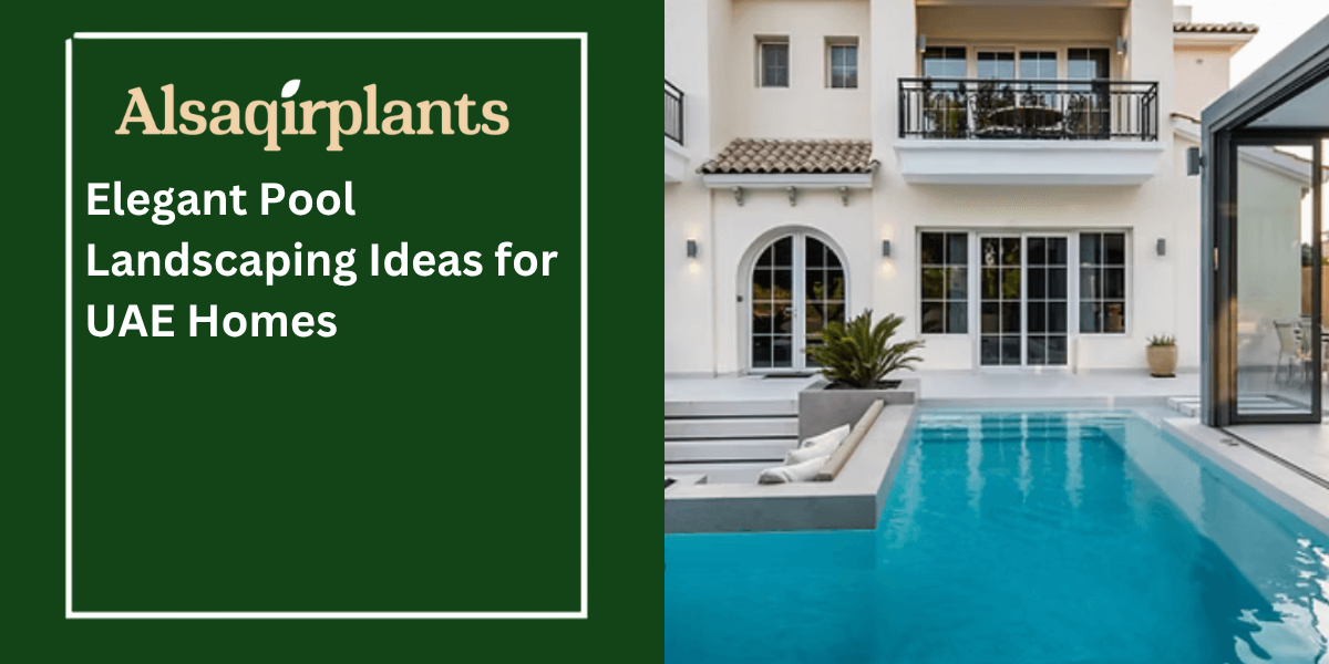 Elegant Pool Landscaping Ideas for UAE Homes