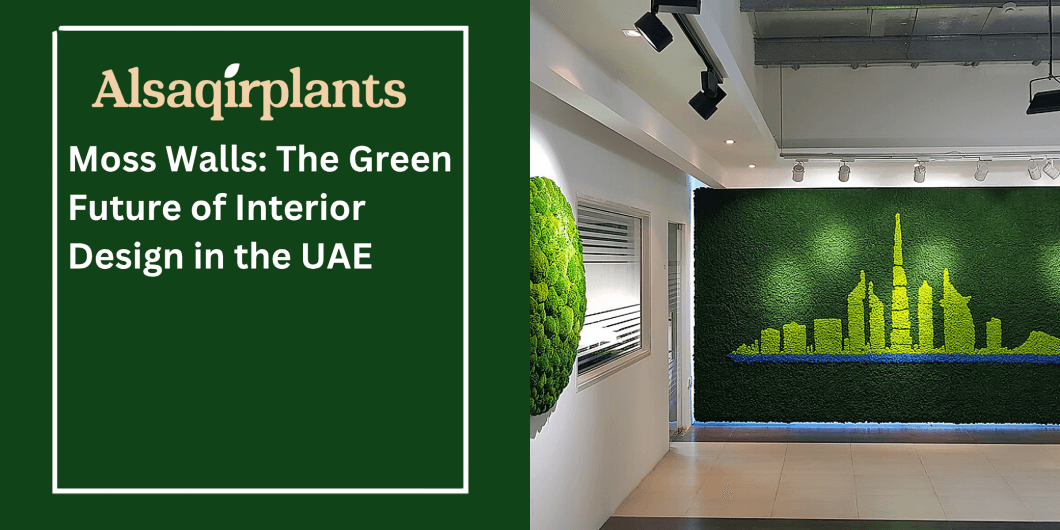 Moss Walls The Green Future of Interior Design in the UAE