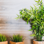Styling Tips to Make Artificial Plants Look More Real
