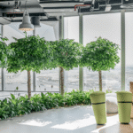 Top Low‑Maintenance Office Plants for Workspaces
