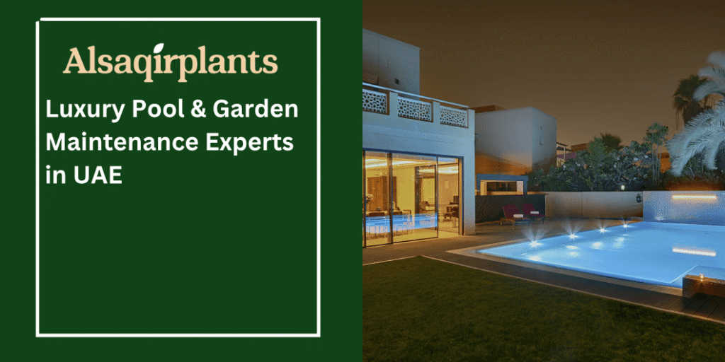 Luxury Pool & Garden Maintenance Experts in UAE