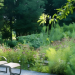 Benefits of Natural Environment Styling