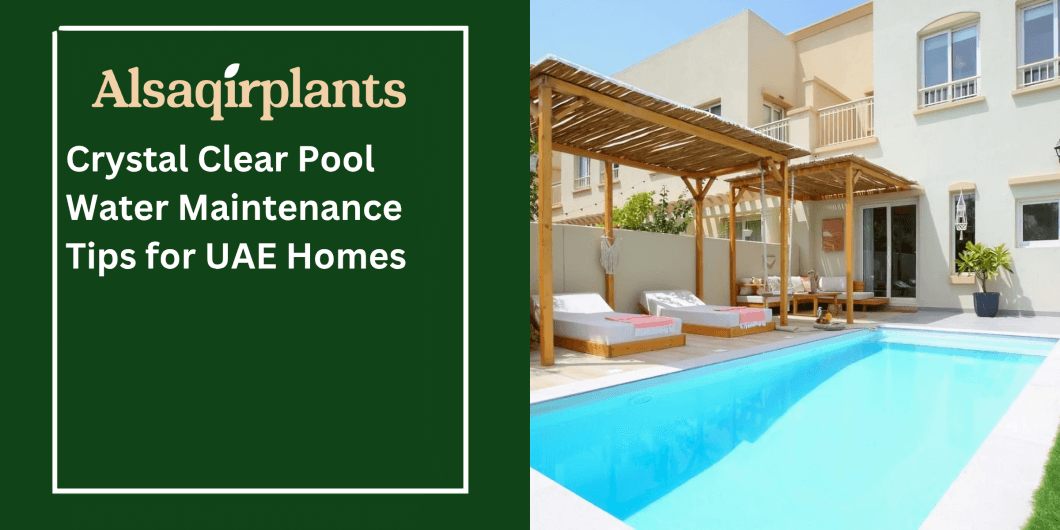 Crystal Clear Pool Water Maintenance Tips for UAE Homes