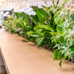 Designing Spaces with Green Aesthetics