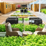 Pest Prevention and Maintenance