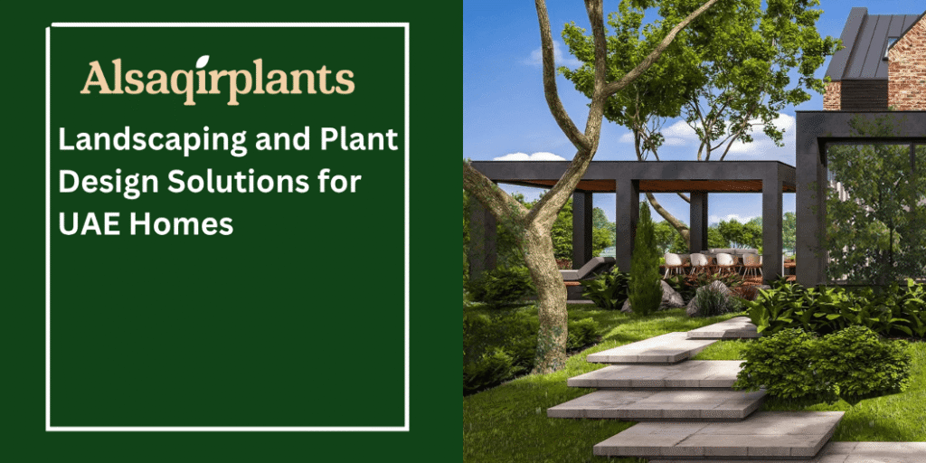 Landscaping and Plant Design Solutions for UAE Homes