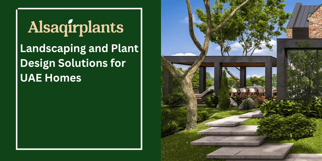 Landscaping and Plant Design Solutions for UAE Homes