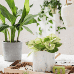 Maintenance Tips for UAE Homeowners