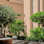 Modern Plant Design Trends in the UAE