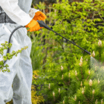 Pest Prevention and Maintenance