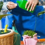 oil, Fertilizer, and Repotting