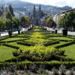 Expert Outdoor Plant Landscaping Solutions