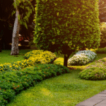 Why Landscaping Matters in the UAE Climate